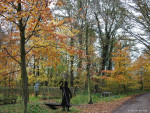Middeleeuws Weleveld